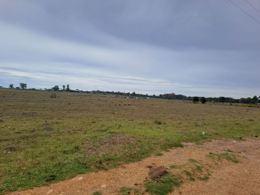  Bedroom Property for Sale in Greenbushes Eastern Cape